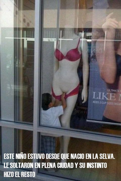 El instinto es el instinto