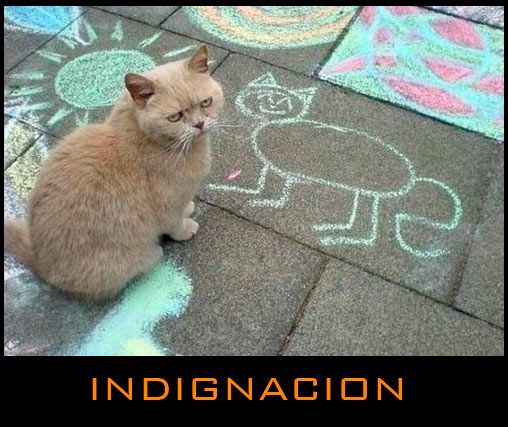 La definicion de indignacion