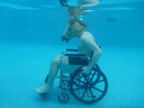 Internet es surrealista