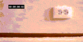 Asombroso choque de gatunos