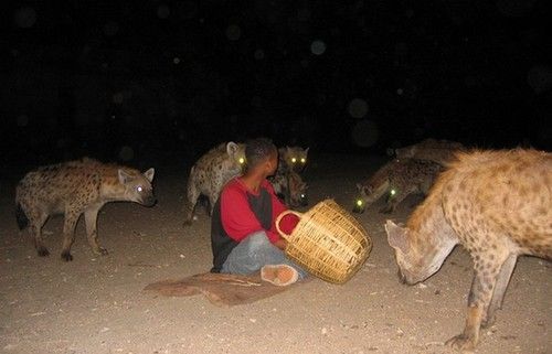 Las simpáticas hienas