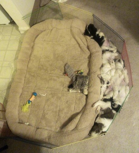 30 euros a la mierda