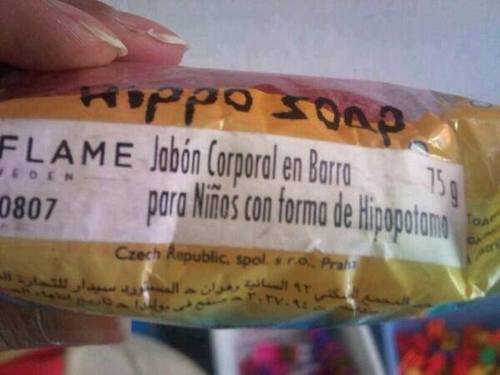 Los niños hipopótamo ya están aquí