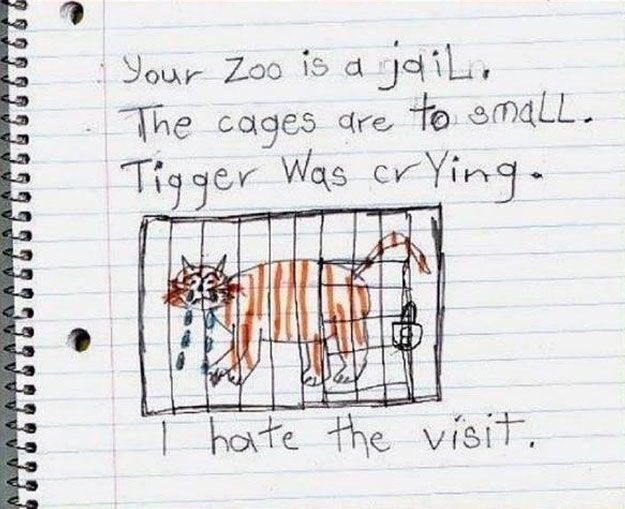 Así describe un niño su visita al zoo