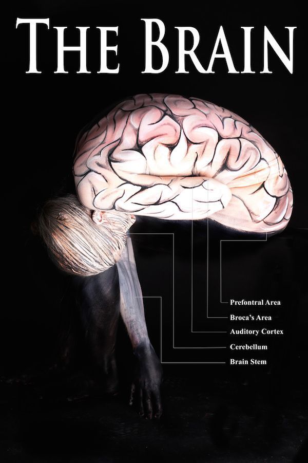 slide_357746_3959529_free